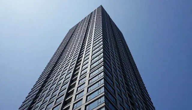 数据展示中信息更新的常见误区与应对方法